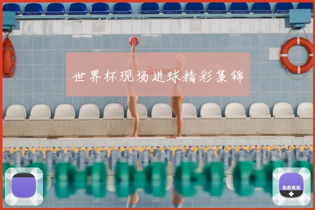 世界杯现场进球精彩集锦