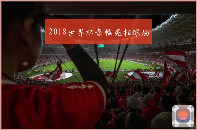 2018世界杯条幅亮相球场