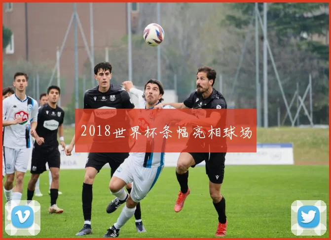 2018世界杯条幅亮相球场