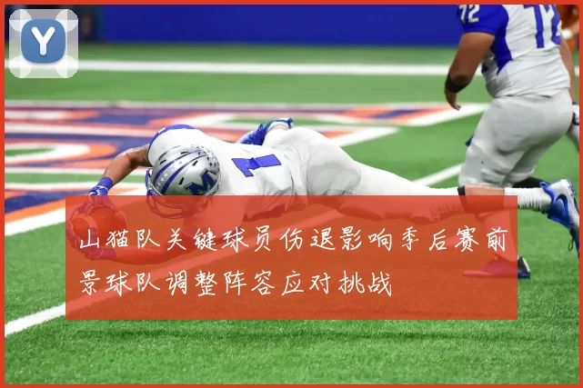 山猫队关键球员伤退影响季后赛前景球队调整阵容应对挑战