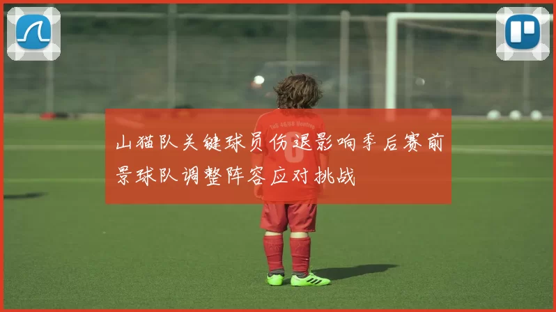 山猫队关键球员伤退影响季后赛前景球队调整阵容应对挑战