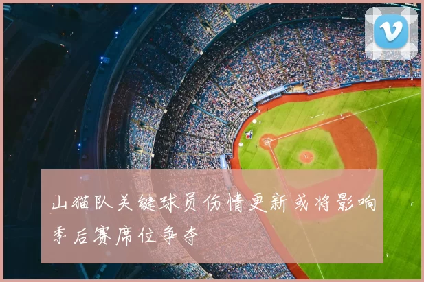 山猫队关键球员伤情更新或将影响季后赛席位争夺