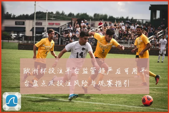 欧洲杯投注平台监管趋严后可用平台盘点及投注风险与观赛指引